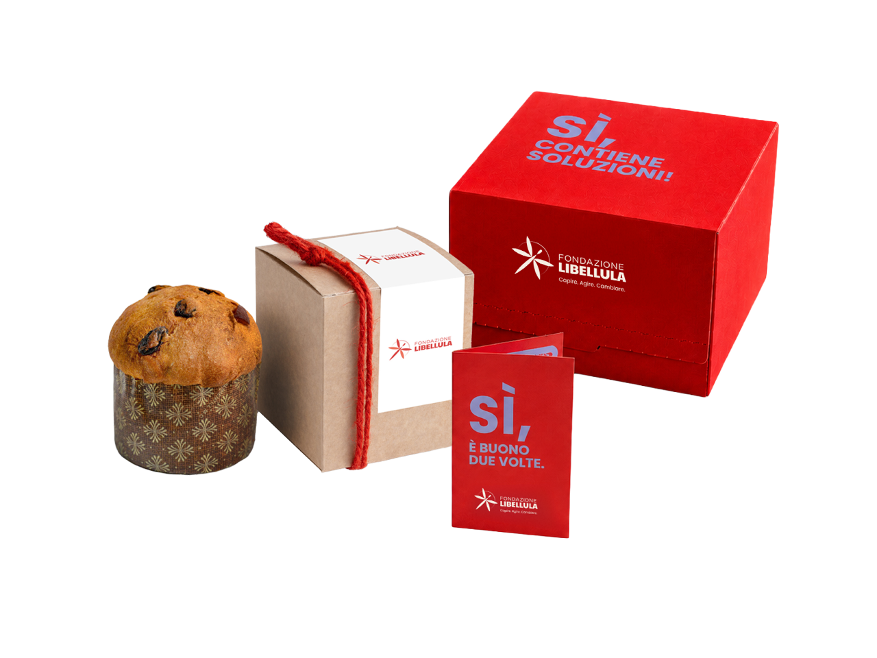 Panettoncino solidale Fondazione Libellula